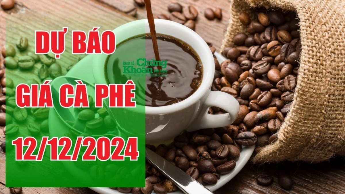 Dự báo giá cà phê ngày 12/12/2024: Liệu có còn đà tăng sau phiên xanh rực rỡ?