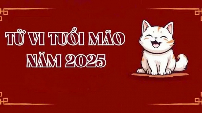 Tử vi tuổi Mão năm Ất Tỵ 2025 ra sao: Người tuổi Mão cần lưu ý điều gì?