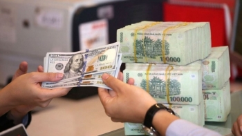 Tỷ giá USD ngày 14/12/2024: Duy trì ổn định trong nước, biến động quốc tế