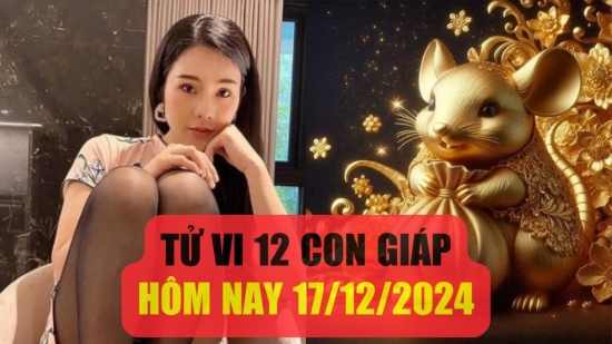 Dự đoán tử vi 12 con giáp hôm nay 17/12/2024: Sửu thăng hoa công việc, Dậu tài chính rực rỡ, Tý cần chăm sóc sức khỏe