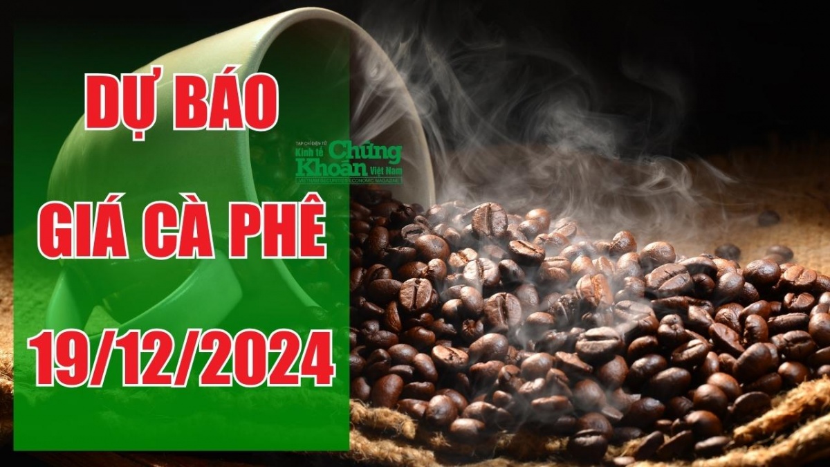 Dự báo giá cà phê ngày 19/12/2024: Liệu giá có tiếp tục tăng?