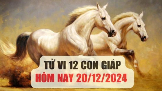 Dự đoán tử vi 12 con giáp hôm nay 20/12/2024: Ngọ gặp nguy cơ lớn, Hợi trải nghiệm cảm xúc thăng trầm