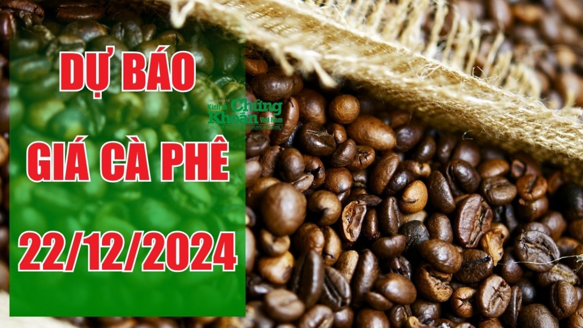 Dự báo giá cà phê ngày 22/12: Giá nội địa có hồi phục, người nông dân có nên giữ hàng?