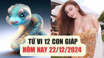 Dự đoán tử vi 12 con giáp hôm nay 22/12/2024: Tỵ phiền muộn áp lực, Hợi bình yên cuối tuần