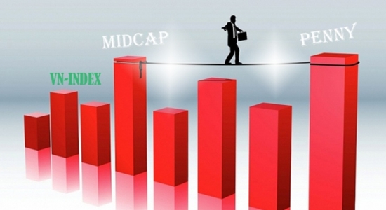 Lý giải sức hút của cổ phiếu midcap và penny bất chấp thị trường trầm lắng