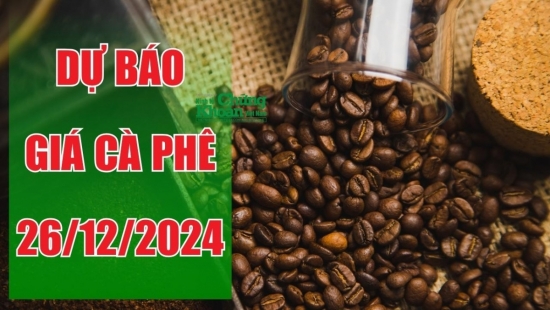 Dự báo giá cà phê ngày 25/12/2024: Liệu đà tăng có được duy trì?