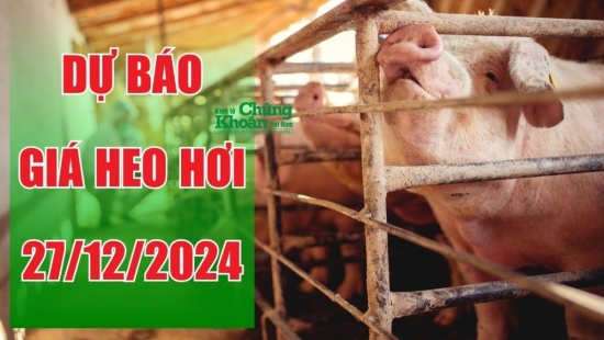 Dự báo giá heo hơi ngày 27/12/2024: Khả năng tăng cao dịp cận Tết Nguyên đán?