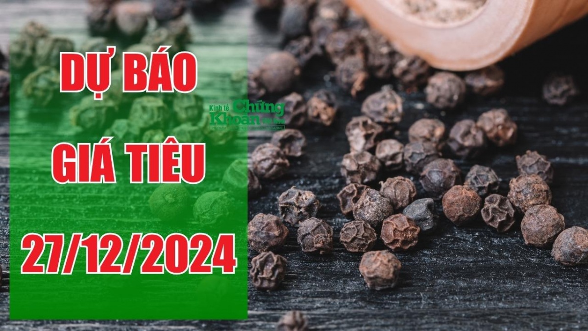 Dự báo giá tiêu ngày 27/12/2024: Triển vọng tăng giá đầu năm 2025?