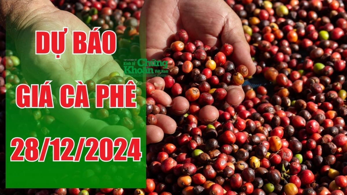 Dự báo giá cà phê ngày 28/12/2024: Thị trường nội địa sẽ giữ đà tăng?