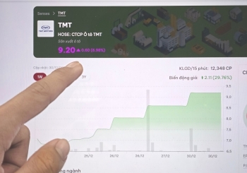 Người trong cuộc lý giải về "hiện tượng" cổ phiếu TMT