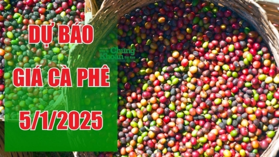 Dự báo giá cà phê ngày 5/1/2025: Tiếp tục tăng giá cuối tuần?