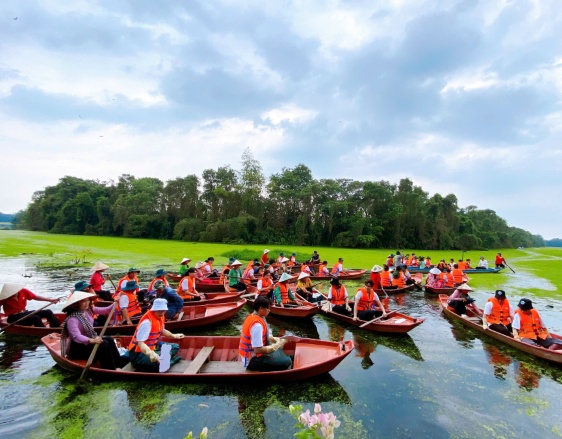 Mảnh rừng phác họa non sông