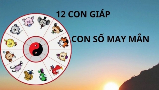 Con số may mắn của 12 con giáp ngày 19/1/2025: Bí quyết thu hút tiền tài?