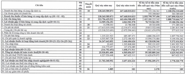 Thép Tấm Lá Thống Nhất (TNS) báo lãi 2024 tăng gấp 12 lần