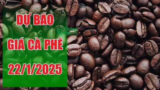 Dự báo giá cà phê ngày 22/1/2025: Sự hồi phục liệu có khả thi sau chuỗi ngày giảm giá?