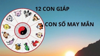 Con số may mắn của 12 con giáp ngày 27/1/2025: Tài lộc ngập lối, giàu to trước Tết Ất Tỵ