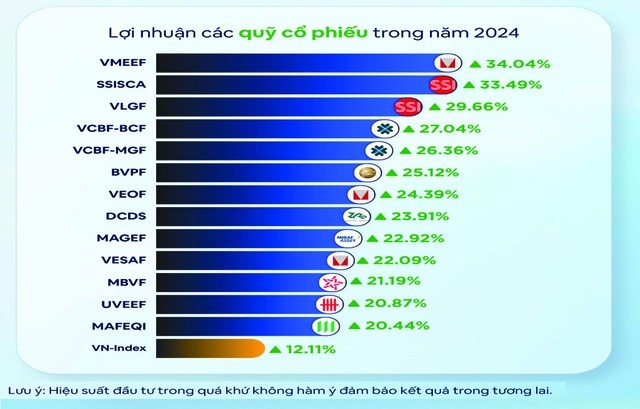 Chứng khoán Việt Nam 2025: Quỹ mở nở rộ, ghi dấu ấn đậm nét