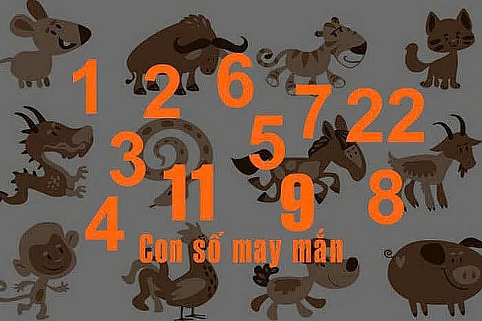 Con số may mắn của 12 con giáp ngày 11/2/2025: Thần Tài chiếu cố, ai nhanh thì 