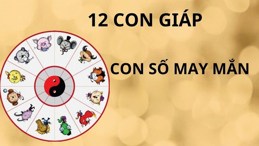 Con số may mắn của 12 con giáp ngày 12/2/2025: Cơ hội 