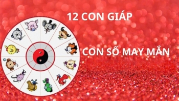 Con số may mắn của 12 con giáp ngày 19/2/2025: Nhận lộc tổ tiên, trúng lớn đổi vận giàu sang