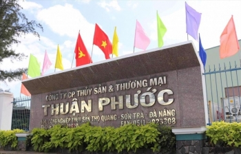 Doanh thu khủng nhưng lợi nhuận nhỏ giọt, Thủy sản Thuận Phước (THP) tiếp tục đặt mục tiêu "cầm chừng"