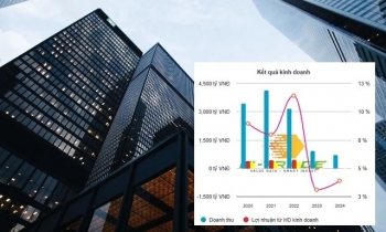 Gilimex (GIL) báo lãi quý 4/2024 giảm mạnh, doanh thu lao dốc