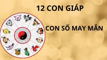 Con số may mắn của 12 con giáp ngày 3/3/2025: 