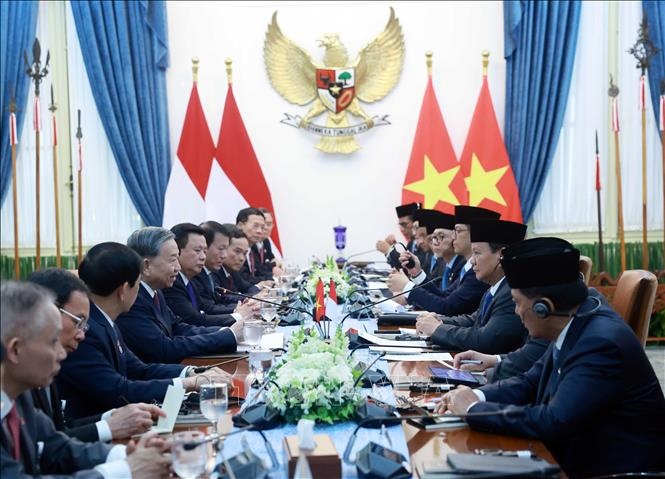 Tổng Bí thư Tô Lâm hội đàm với Tổng thống Indonesia Prabowo Subianto. Ảnh: TTXVN