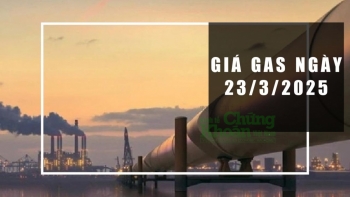 Giá gas hôm nay 23/3/2025: Đồng loạt giảm, xu hướng tháng tới sẽ ra sao?