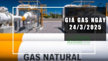 Giá gas hôm nay 24/3/2025: Thế giới tăng nhanh, thị trường nội địa sắp có biến động?