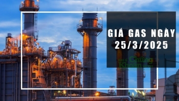 Giá gas hôm nay 25/3/2025: Thế giới tiếp tục hạ nhiệt, xu hướng tháng 4 ra sao?