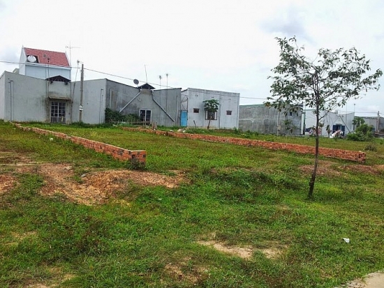 Đấu giá quyền sử dụng đất tại huyện Càng Long, tỉnh Trà Vinh