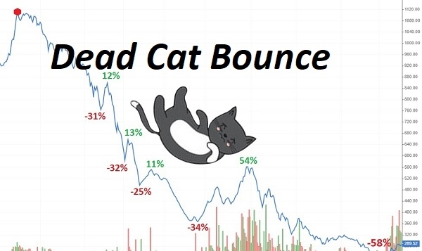 Dead Cat Bounce là gì?