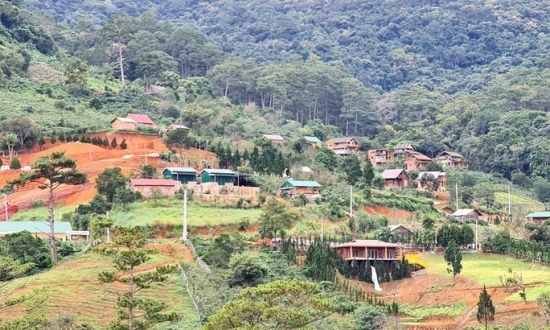 Lâm Đồng xử lý hàng chục căn nhà xây trái phép trên đất rừng