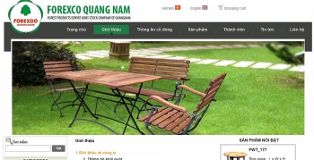 Công ty cổ phần Lâm đặc sản Xuất khẩu Quảng Nam lên sàn UpCoM