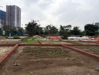 Đấu giá quyền sử dụng 38 ô đất tại huyện Thanh Sơn, Phú Thọ