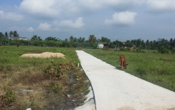 Đấu giá quyền sử dụng 36 ô đất tại huyện Thanh Sơn, Phú Thọ