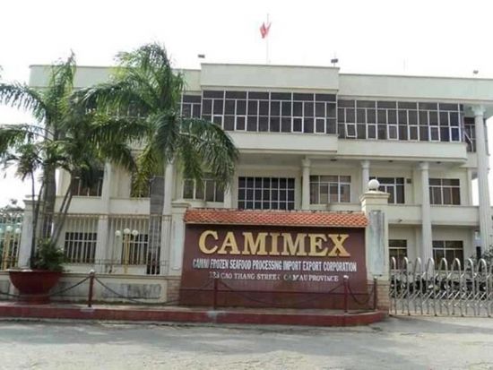 Nợ tăng bao nhiêu, cổ phiếu CMX (Camimex Group) tăng giá bấy nhiêu