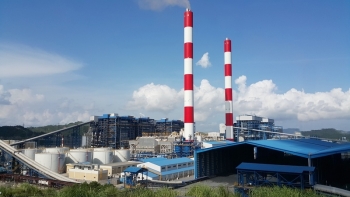 Đấu giá tài sản thuộc Nhà máy Nhiệt điện Mông Dương, TP Cẩm Phả, Quảng Ninh