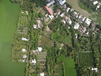 Đấu giá quyền sử dụng 4.373,2 m2 đất tại huyện Long Mỹ, Hậu Giang