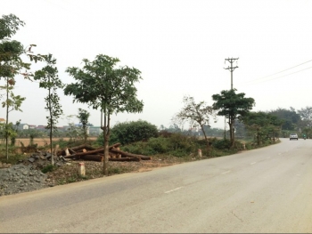 Xử lý dứt điểm sai phạm đất đai tại xã Canh Nậu, Thạch Thất