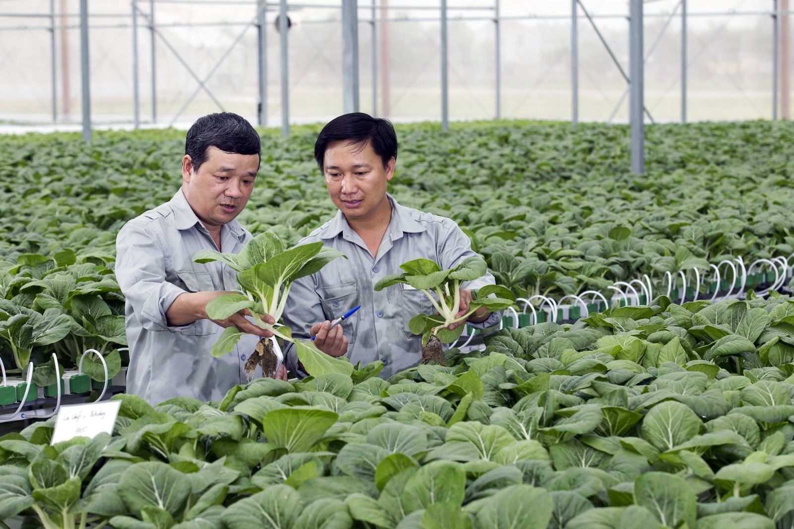 bat dong san nong nghiep xung dang de cac nha dau tu dat cuoc