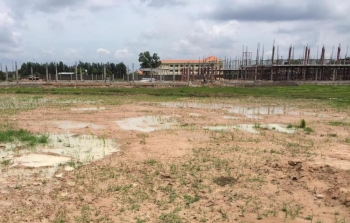 Chuyển đổi 78,26 ha đất trồng lúa sang đất phi nông nghiệp tại Ninh Bình