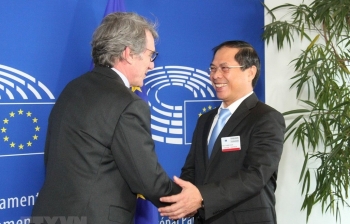 EP ủng hộ thúc đẩy quan hệ hợp tác toàn diện giữa EU và Việt Nam