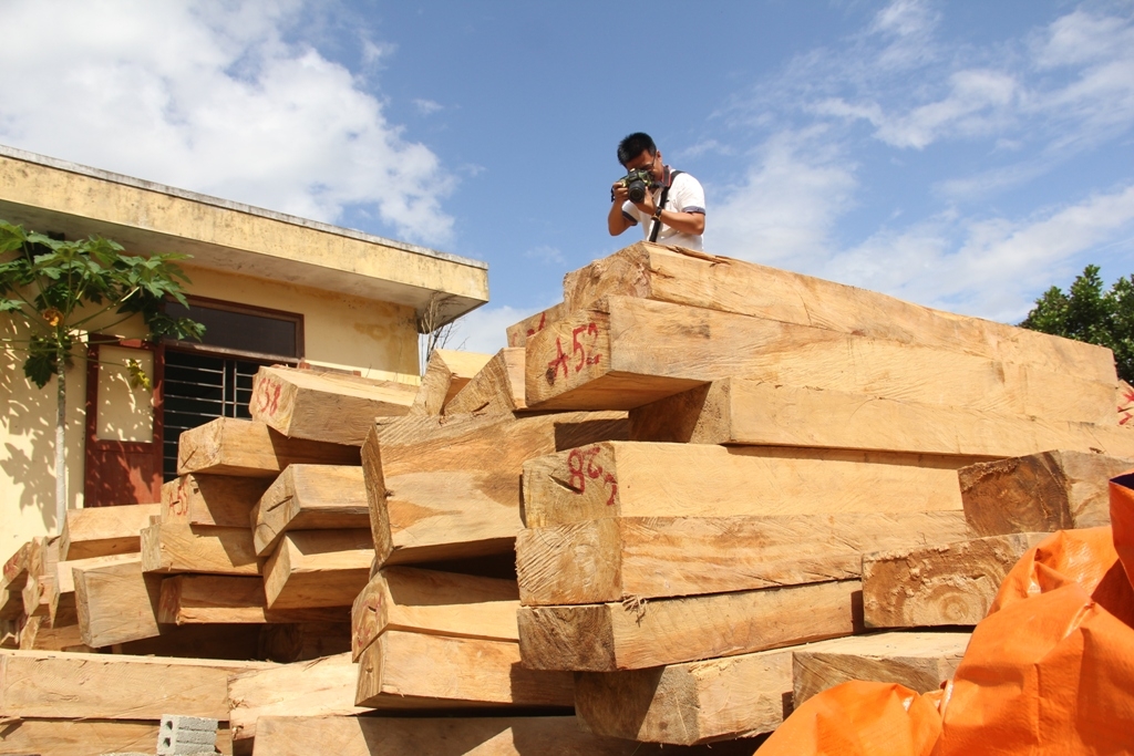Đấu giá 3,418m3 gỗ xẻ nhóm VI tại Kon Tum
