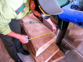 Đấu giá 15,667 m3 gỗ thuộc Hạt Kiểm lâm huyện Đăk Hà, Kon Tum