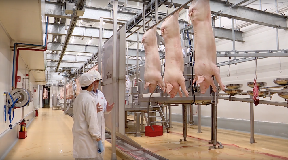 Masan “hiến kế” doanh nghiệp cùng bắt tay giảm giá thịt lợn