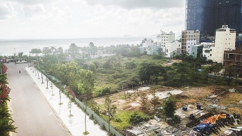 Bình Định: Sắp đấu giá, tìm chủ cho 10 ha "đất vàng" bị bỏ hoang nhiều năm