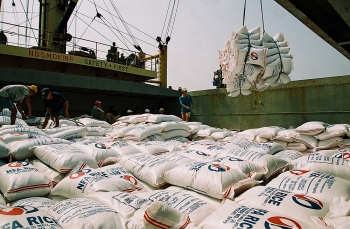 Xuất khẩu gạo có cứu được Vinafood 2 khỏi thua lỗ nghìn tỷ?