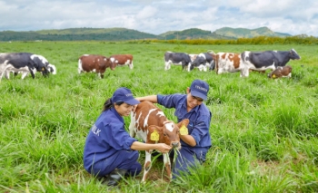 Vinamilk khởi công tổ hợp resort bò sữa organic 5.000 ha tại Lào